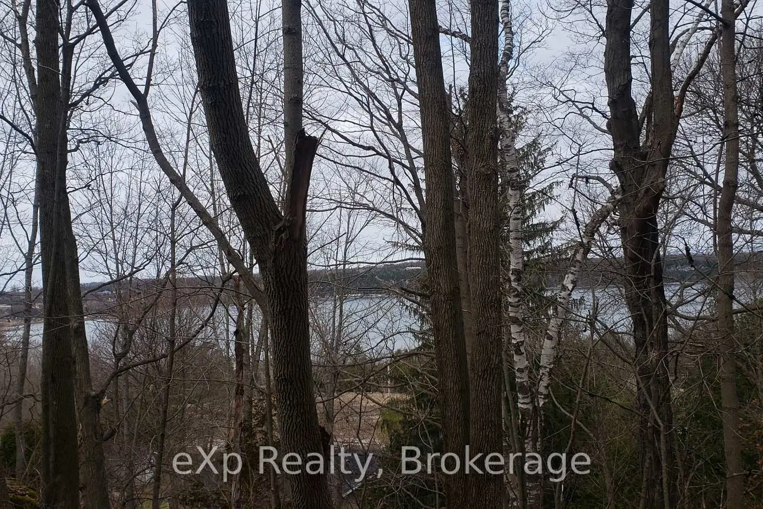 Additional image 3 of Pt Pklt Ppl ,Pt 2 3R-7270 Frank Street