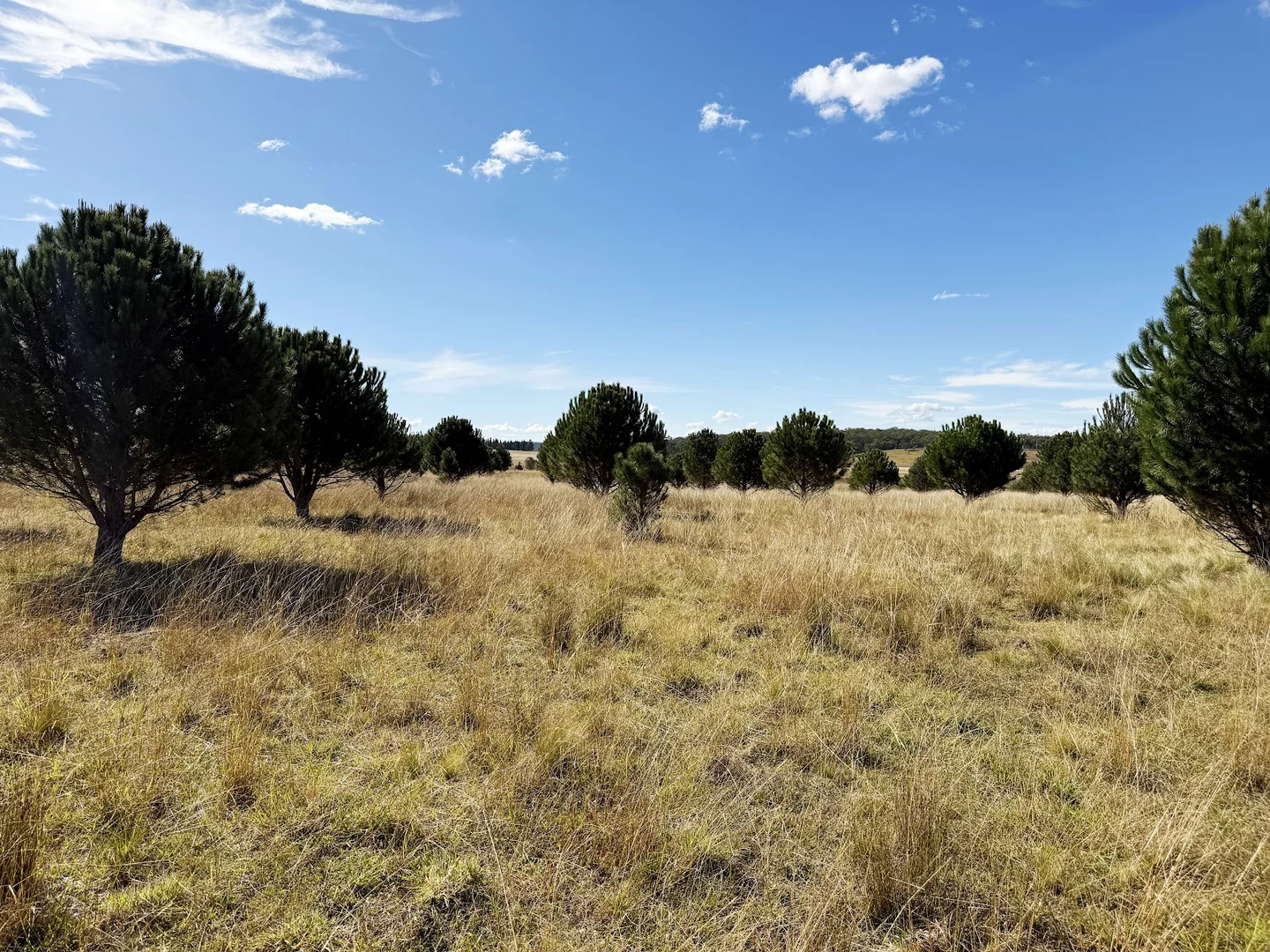 Additional image 7 of 609 Jacqua Road, Windellama NSW 2580