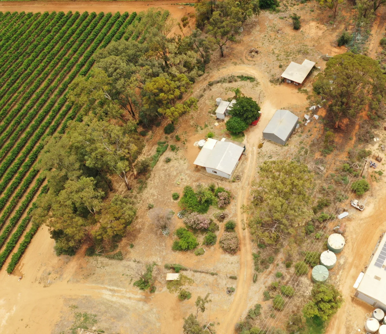 Additional image 4 of 151 ELEPHANT TRUNK ROAD, Cobdogla SA 5346