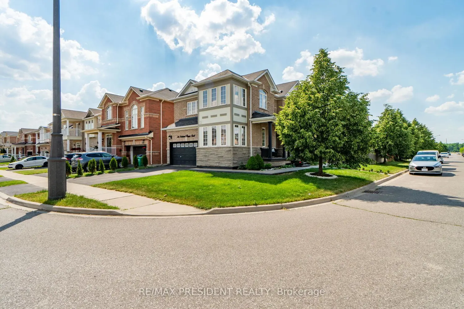 Additional image 2 of 56 Iceland Poppy Trail