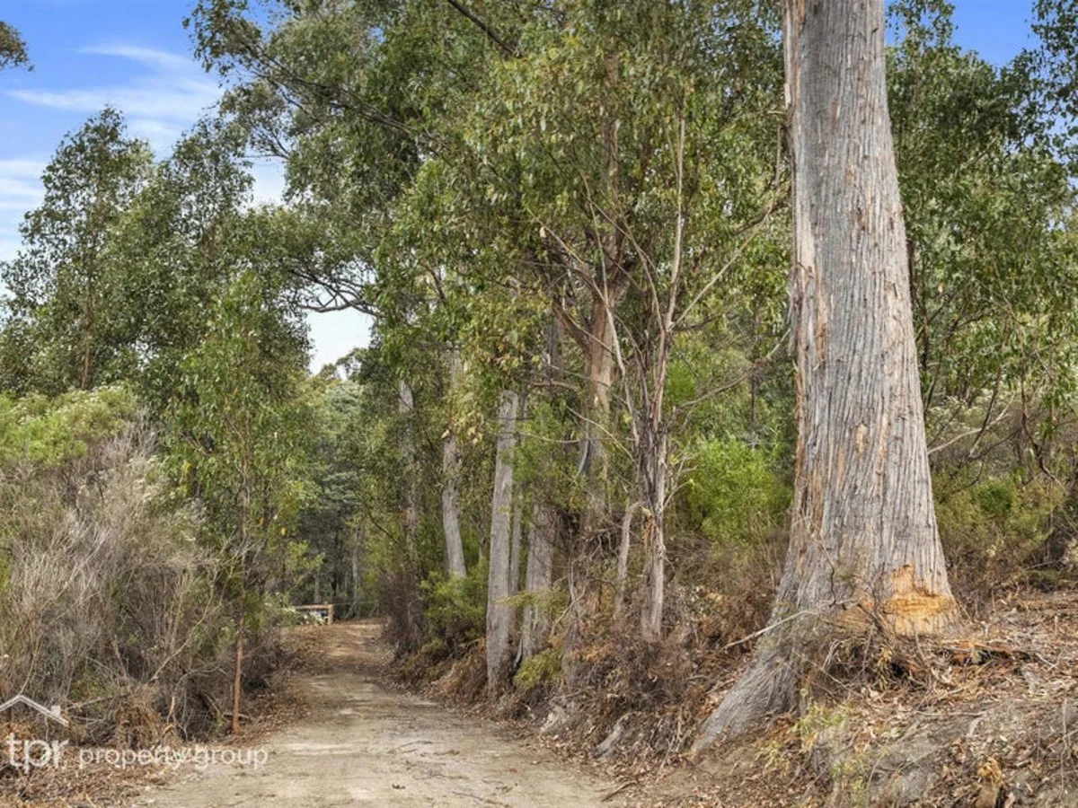 Additional image 7 of Lot 1 Bygraves Road, Crabtree TAS 7109