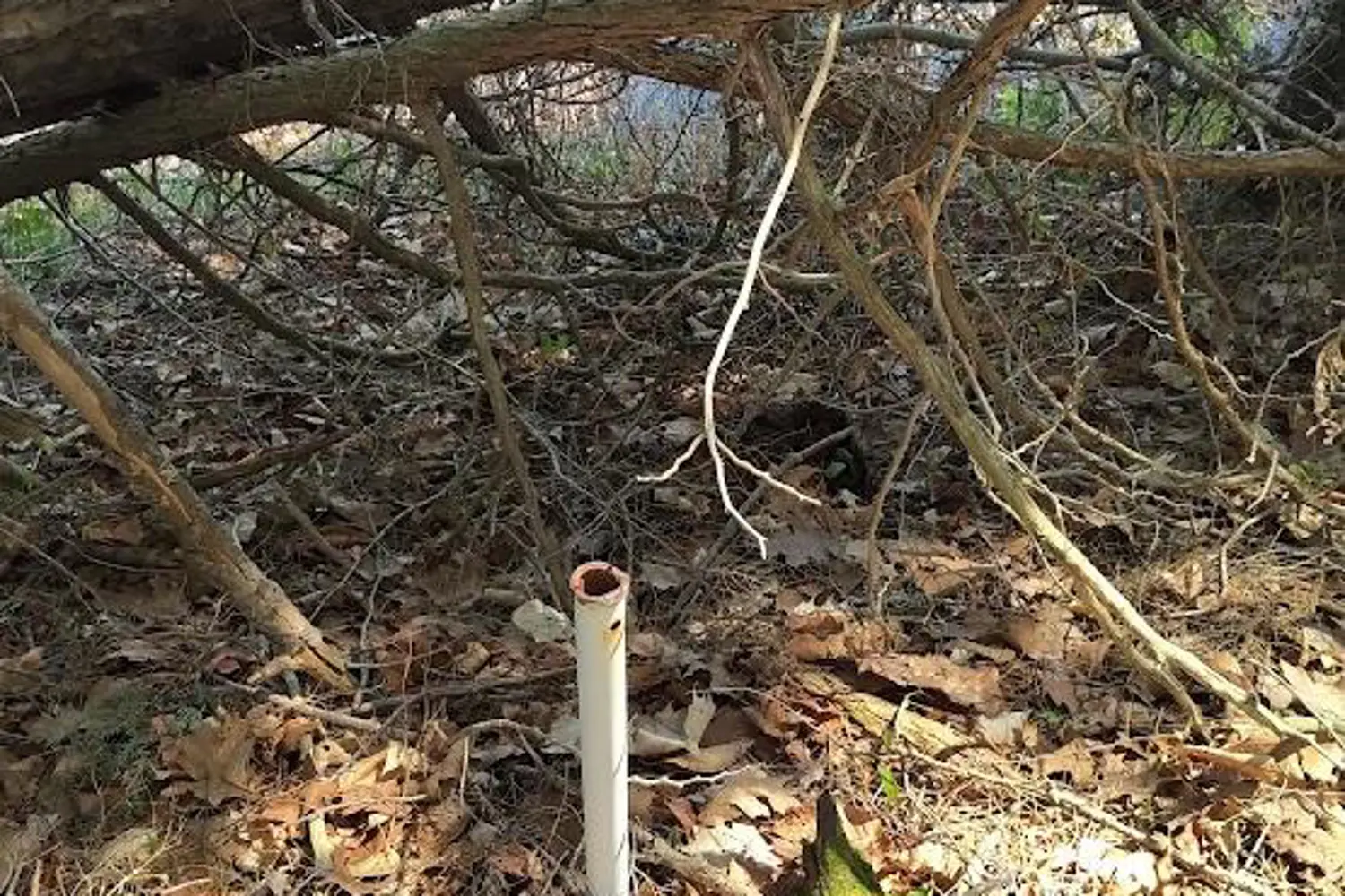 Additional image 12 of 153 Highway 124