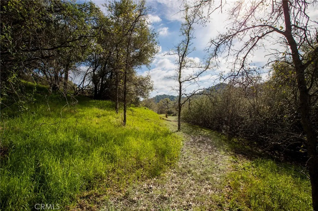 Additional image 59 of 49980 Daffodil Ln, Squaw Valley, CA 93675