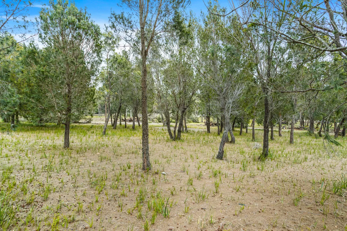 Additional image 14 of 196 Rheban Road, Orford TAS 7190