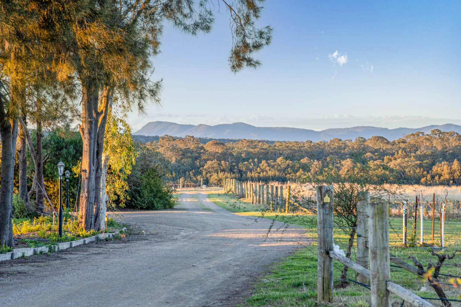 Additional image 2 of 463 Deasys Road, Pokolbin NSW 2320