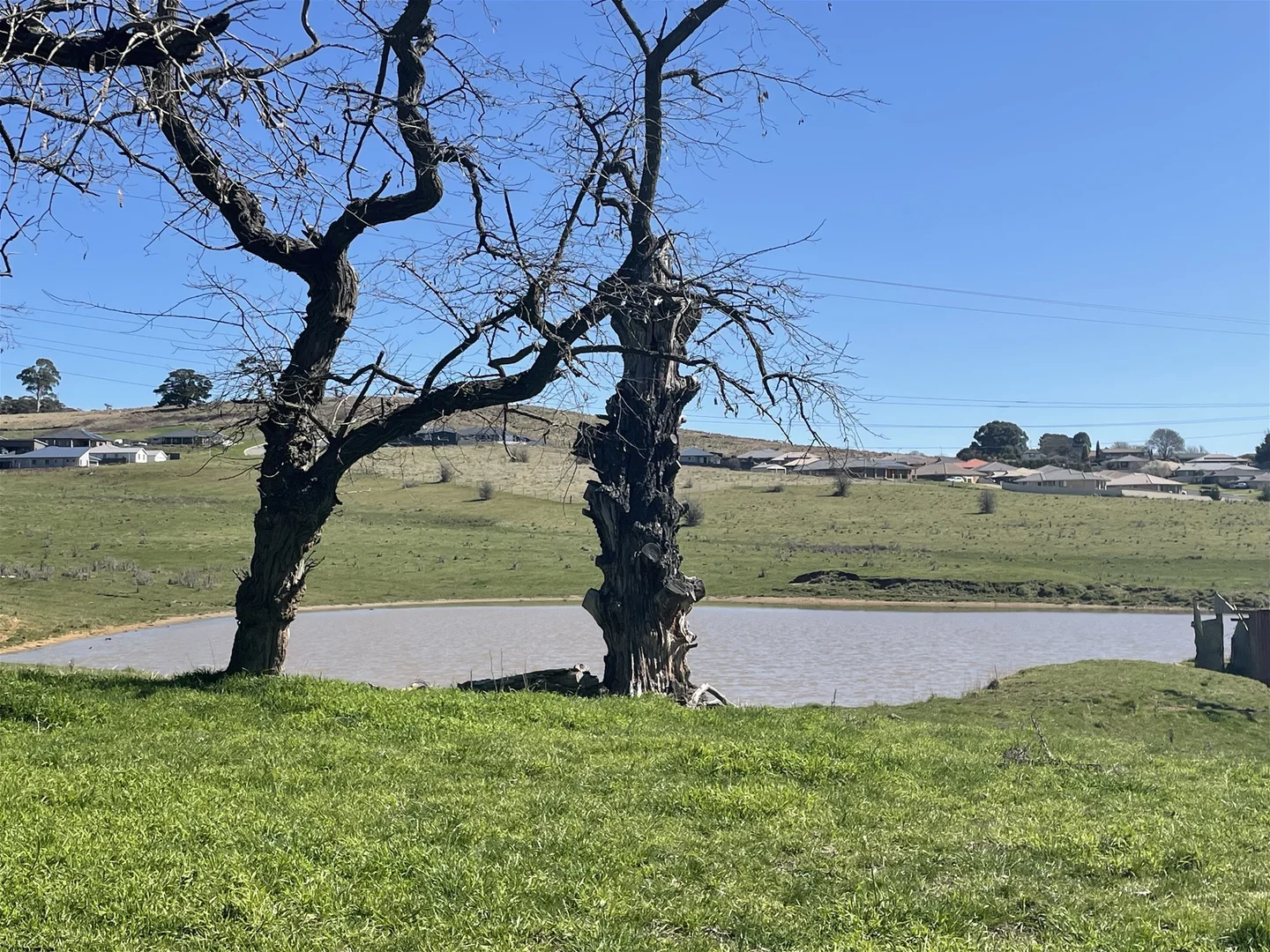 Additional image 36 of 33 Prices Lane, Blayney NSW 2799