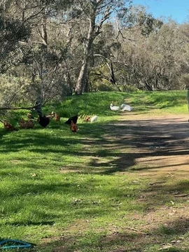 Additional image 8 of 1872 Spencers Brook Road, Mokine WA 6401