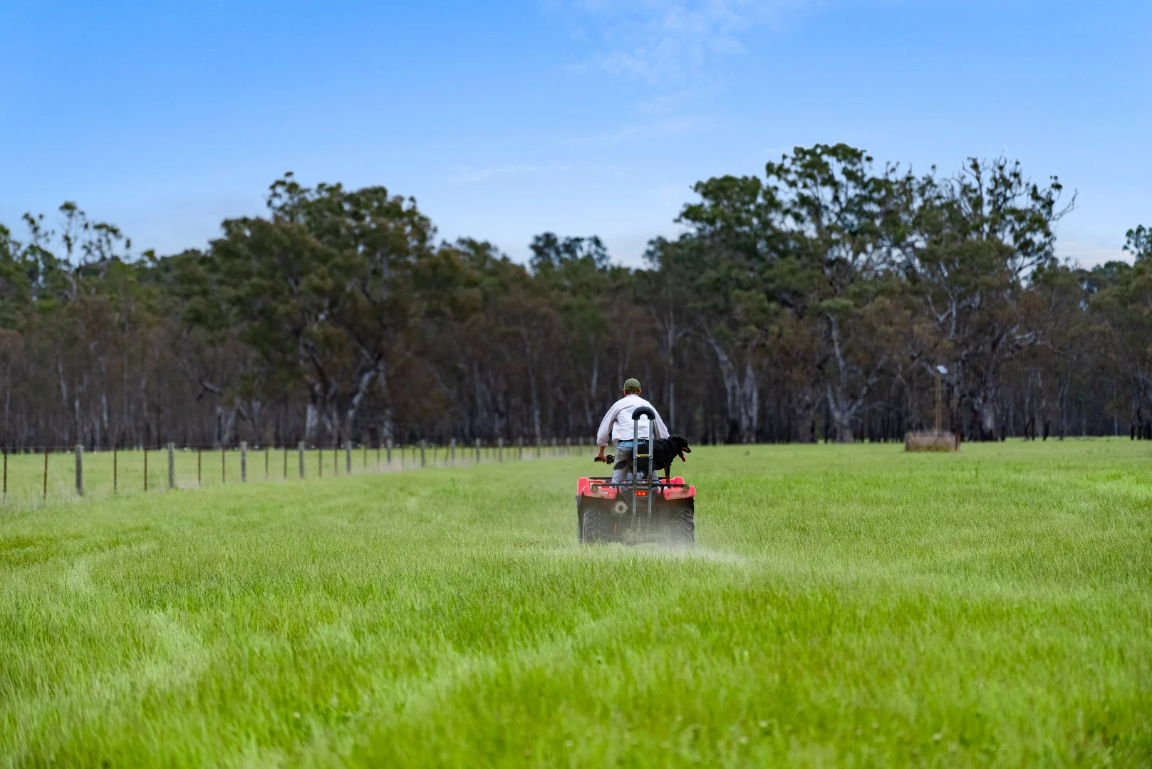 Additional image 8 of 431 Morningside Road, Wahring VIC 3608
