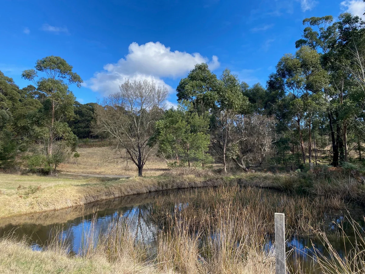 210 Lens Road, Toorloo Arm VIC 3909