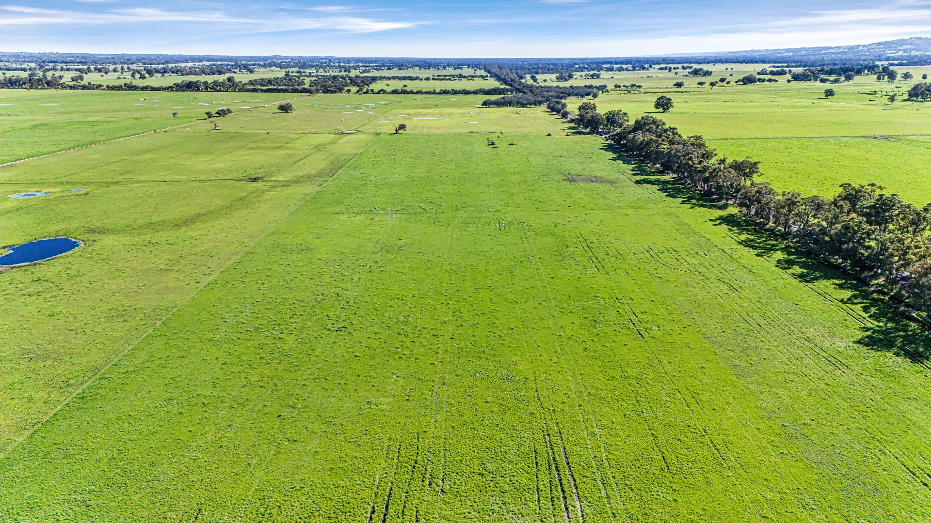 Additional image 12 of Lot 18 Dowdells Line (Paradise), Dardanup WA 6236