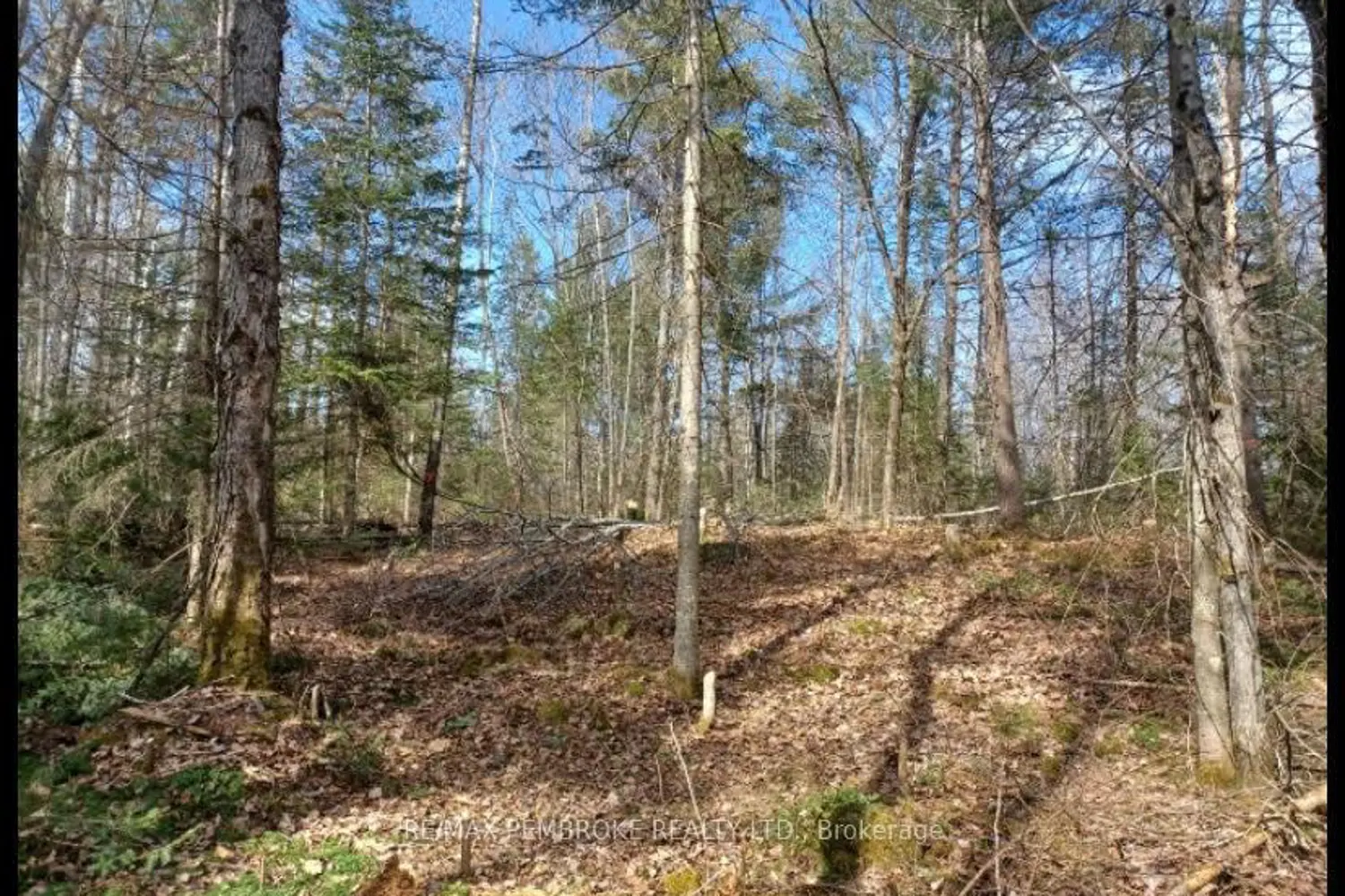 Additional image 12 of 1678 Locksley Road