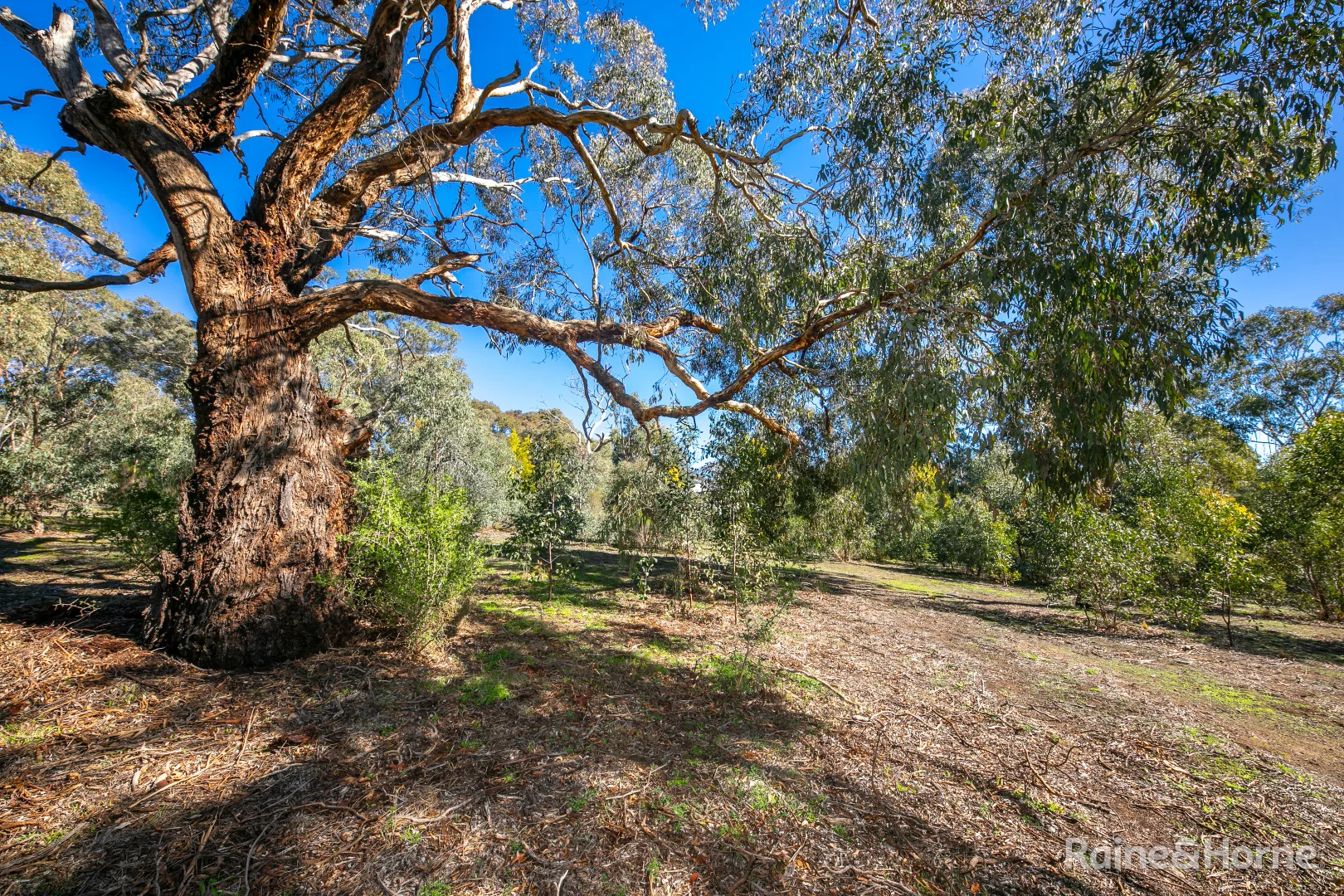 Additional image 5 of 24 Emu Road, Sunbury VIC 3429