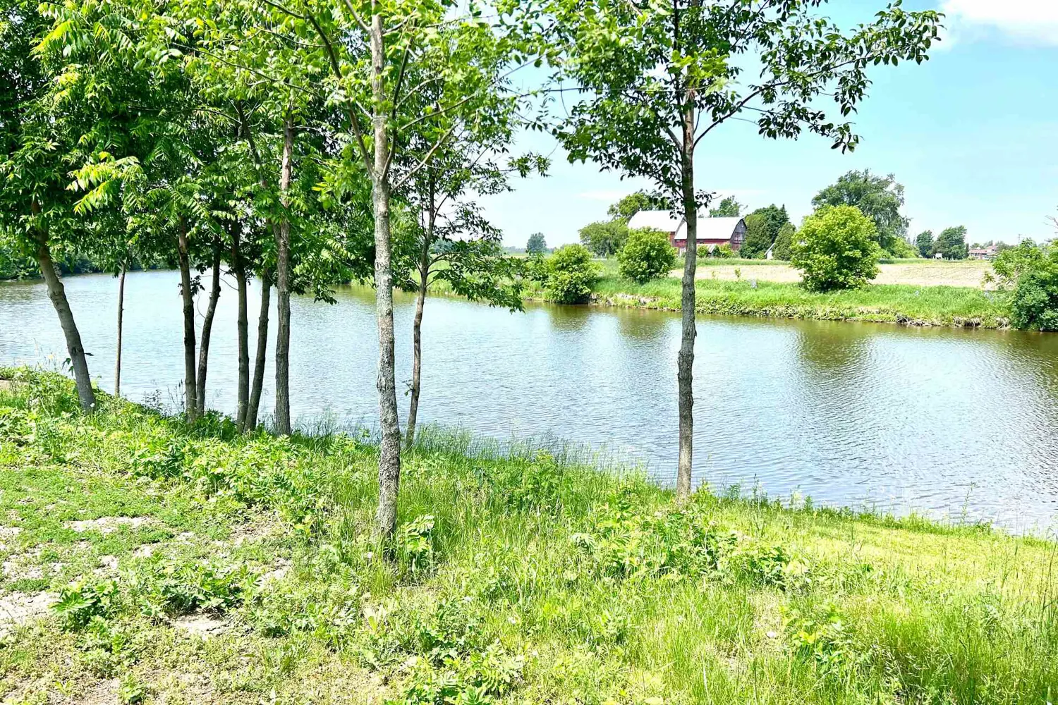 Additional image 3 of 67 Erin Avenue