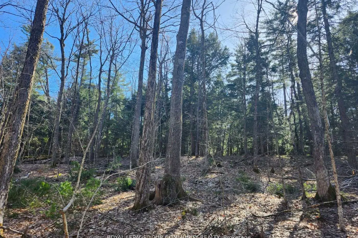 Additional image 3 of 1282 Highway 118 Road