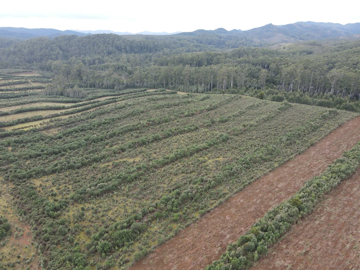 Additional image 8 of 885 Newhaven Road, Mawbanna TAS 7321