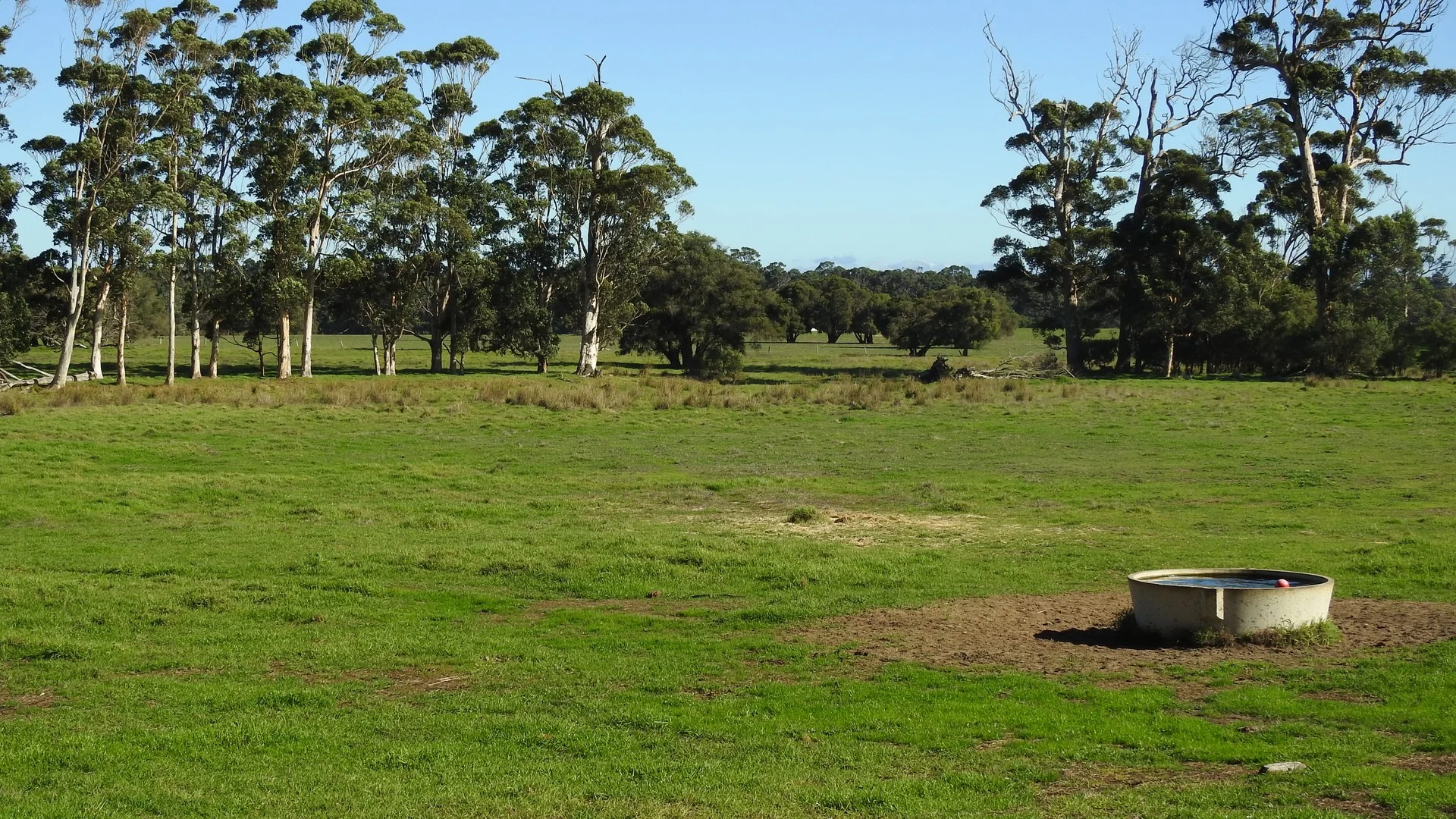 Calgardup Road, Forest Grove WA 6286