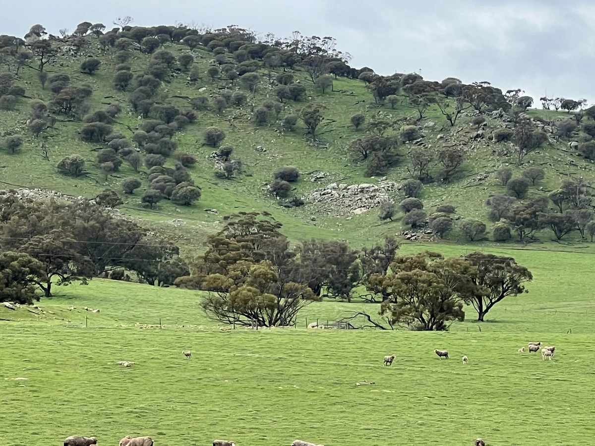 Additional image 14 of 76 Goomalling-Toodyay Road, Dumbarton WA 6566