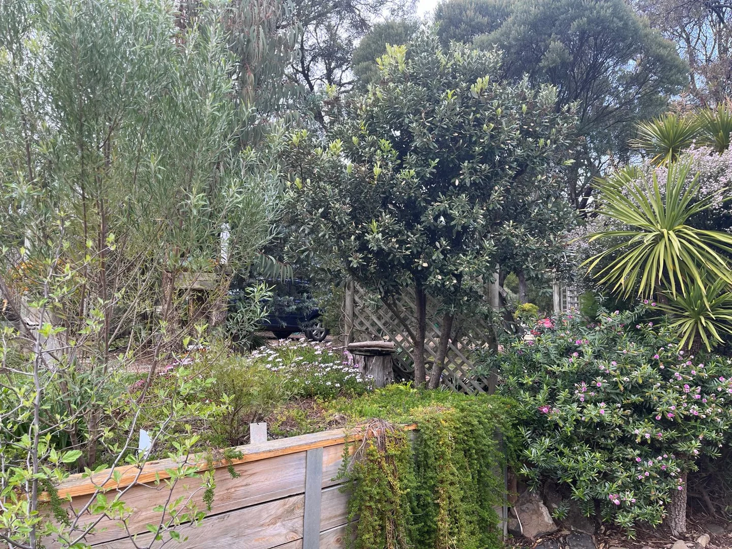 Additional image 19 of 7 - 9 Wright Street, Aireys Inlet VIC 3231