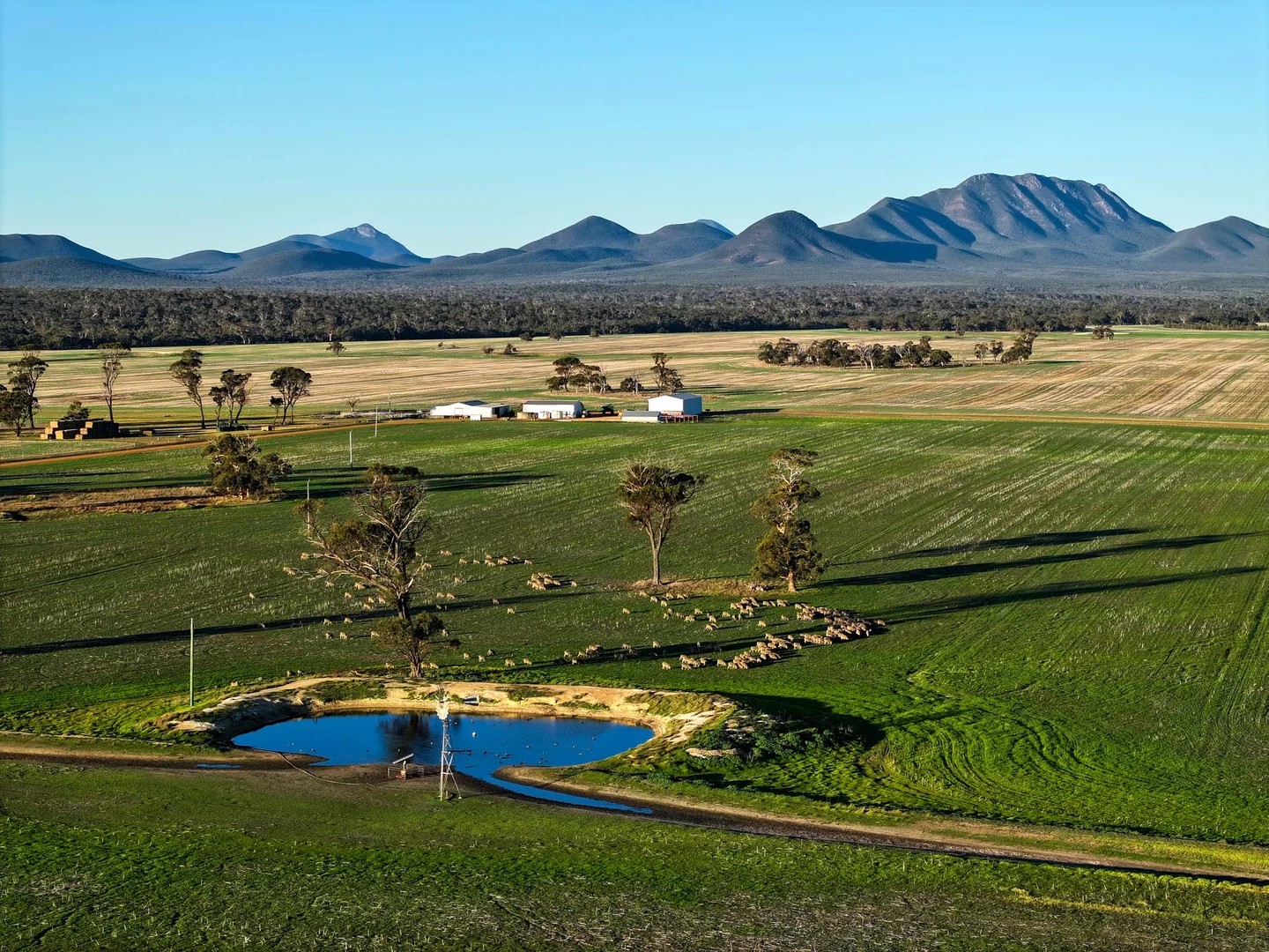 Additional image 9 of 712 View Range Road, Kendenup WA 6323