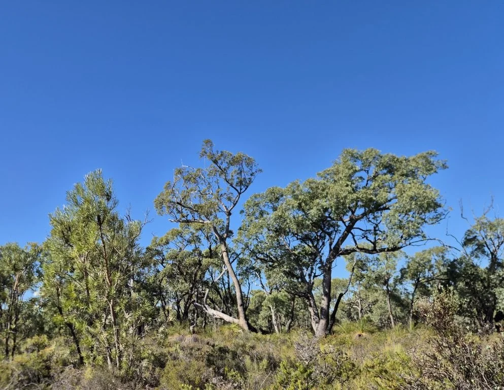 Additional image 6 of 777 Teatree Road, Bindoon WA 6502