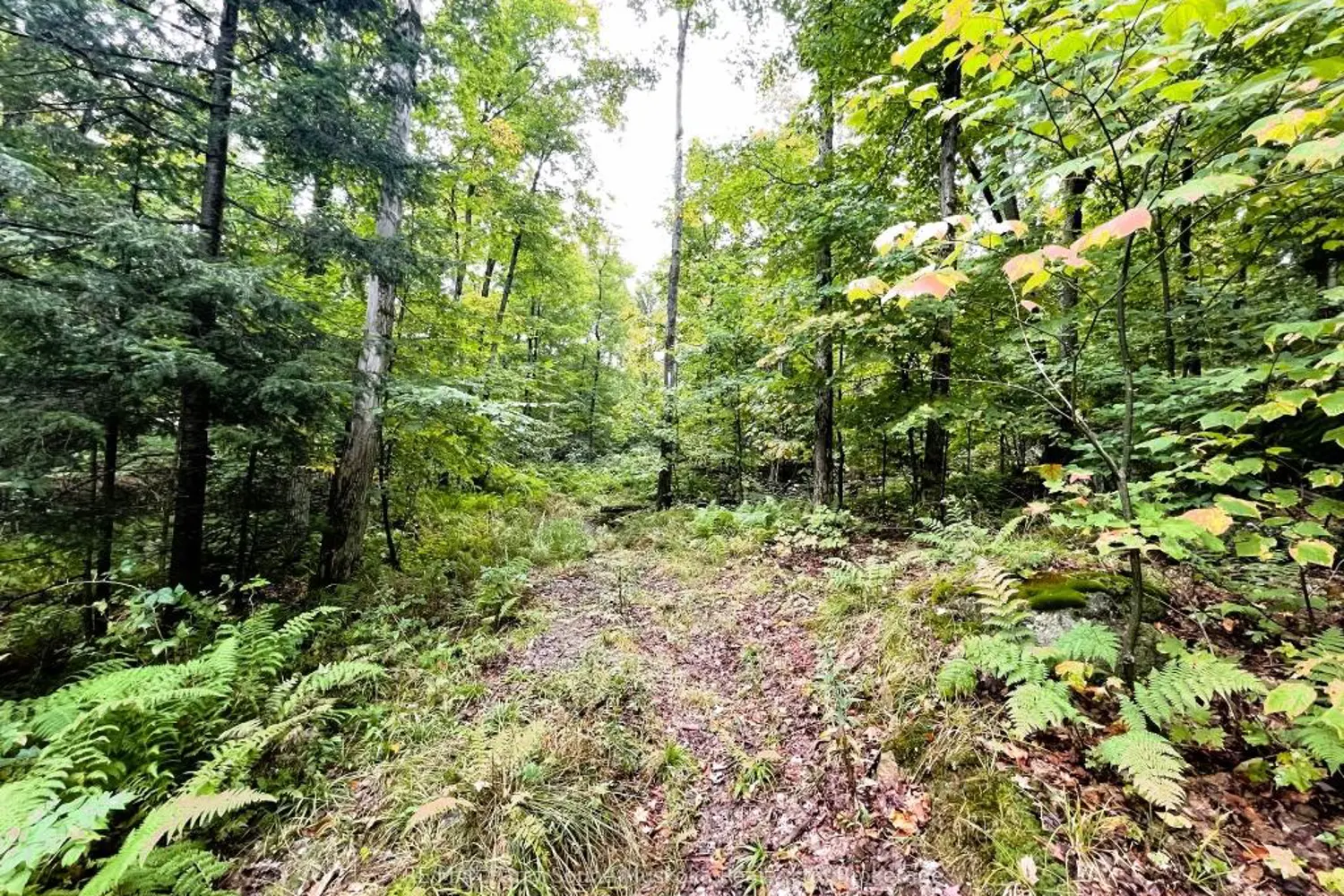 Additional image 8 of 75 Granite Drive