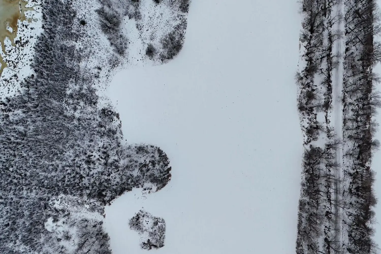 Additional image 9 of 1306 Sulphide Road