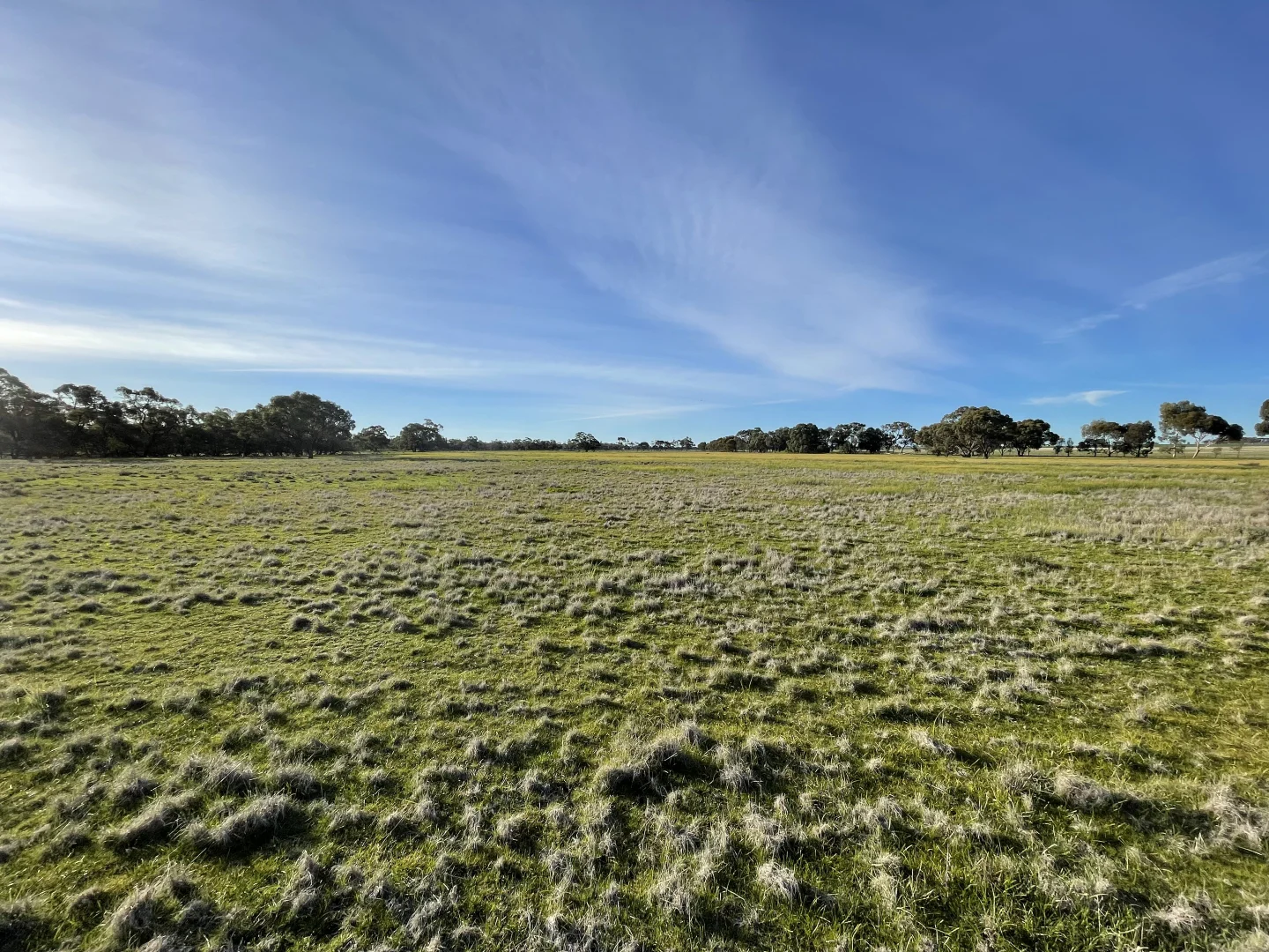 Additional image 29 of 60A McClelland Road, Cope Cope VIC 3480