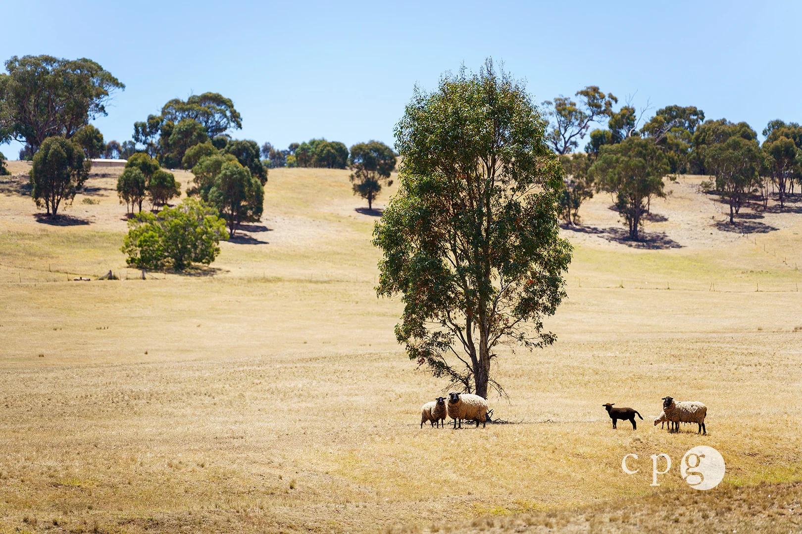 Additional image 13 of 34 Riggalls Road, Welshmans Reef VIC 3462