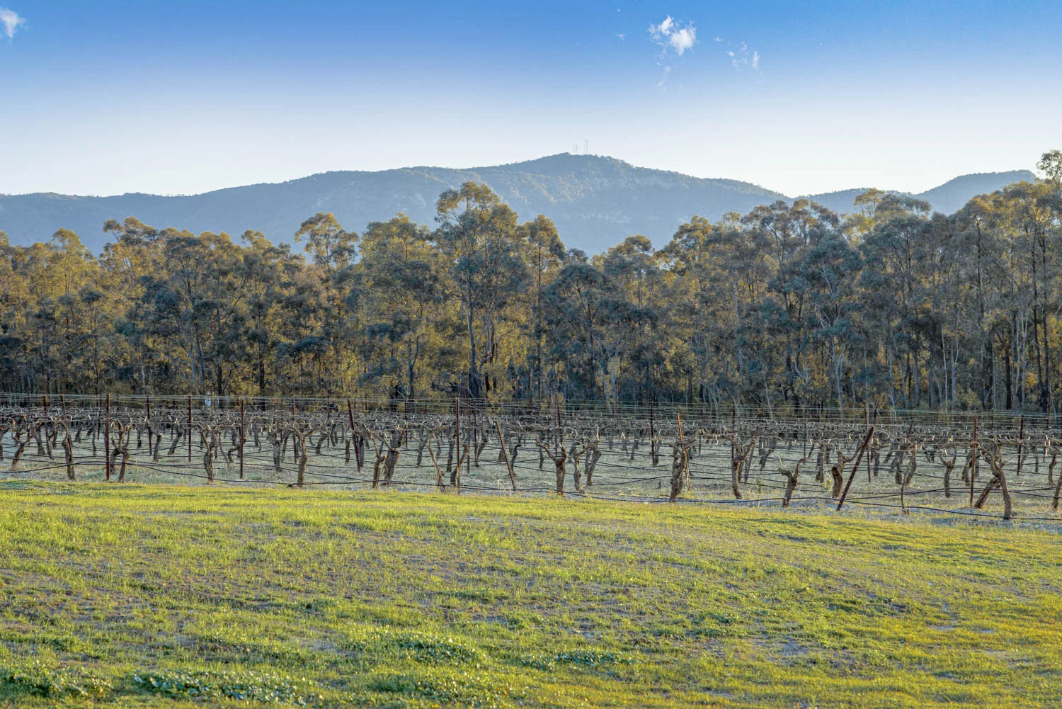 Additional image 25 of 463 Deasys Road, Pokolbin NSW 2320
