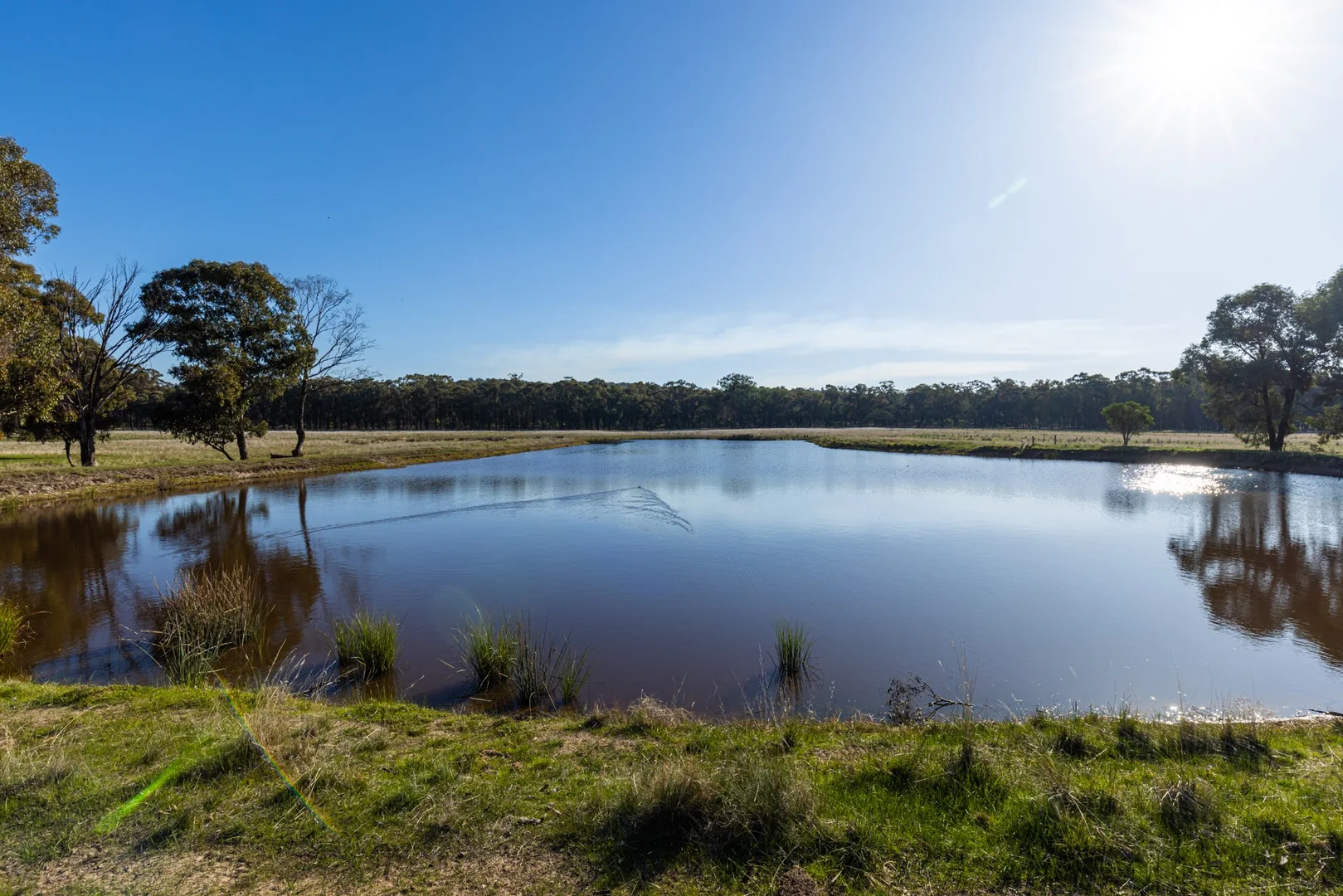 Additional image 10 of 242 Frost Road, Killawarra VIC 3678