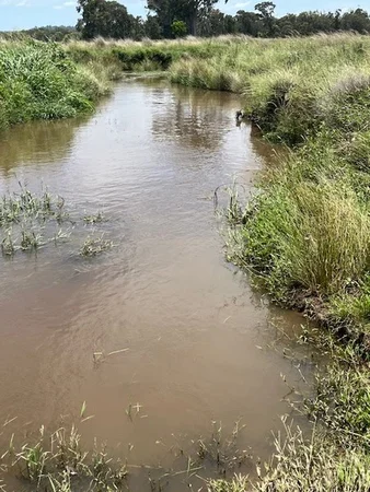 Additional image 6 of Proposed Lot 3 Cactus Ridge Road, Cunningham QLD 4370