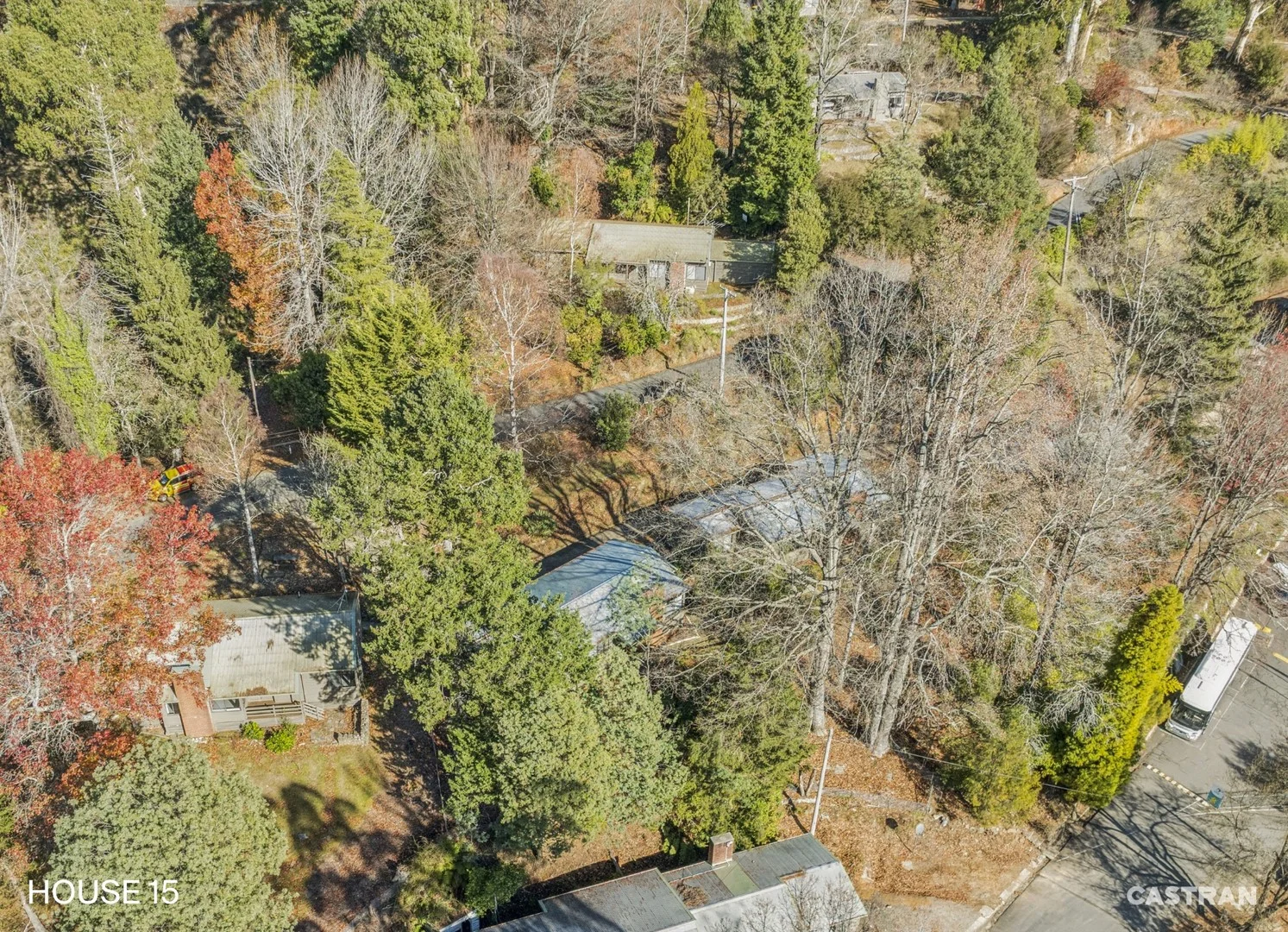 19 Green Gully Road, Bogong VIC 3699