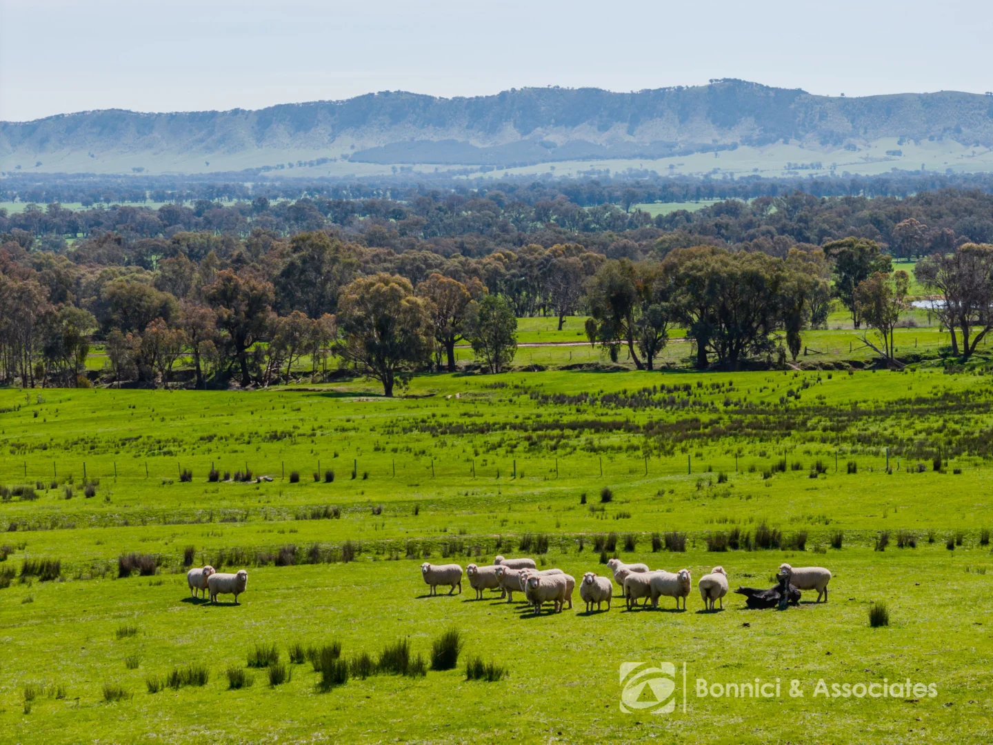 Additional image 31 of 1417 Buckland Gap Road, Murmungee VIC 3747