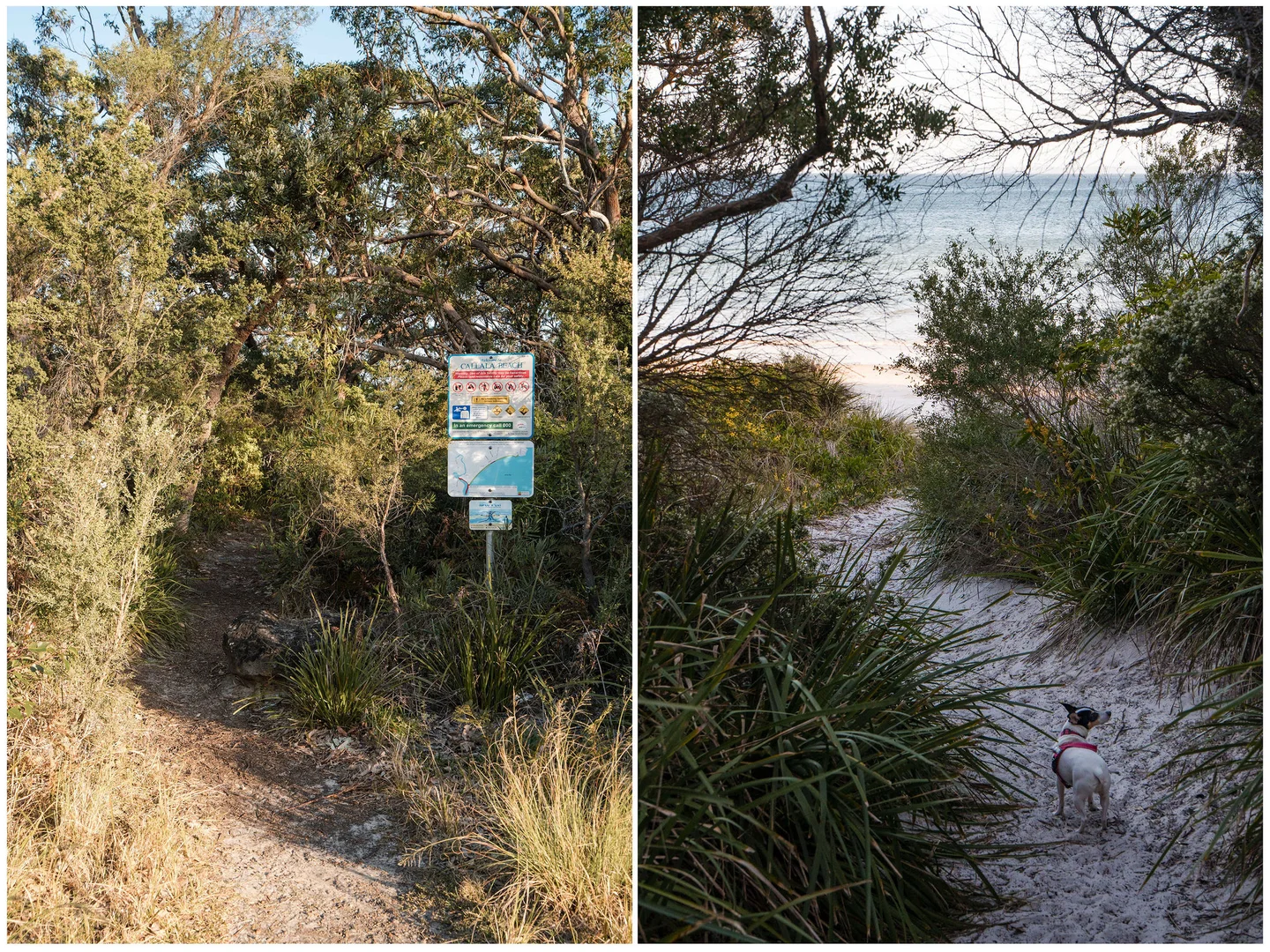 Additional image 32 of 80 Lennox Road, Callala Beach NSW 2540