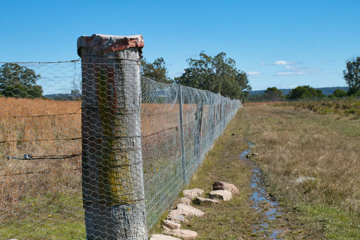 Additional image 7 of Puglisi Road, Dalveen QLD 4374