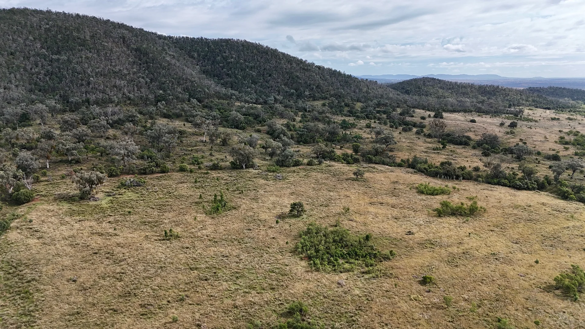 Additional image 11 of The Wilgas Cobbadah Road, Bingara NSW 2404