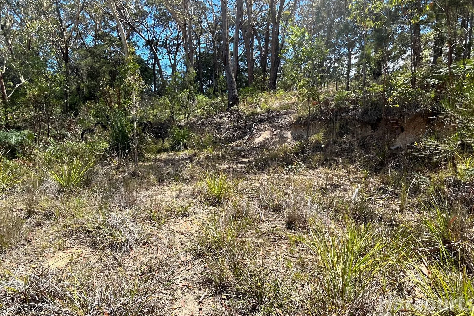 Additional image 2 of 132 Tallowwood Place, South West Rocks NSW 2431