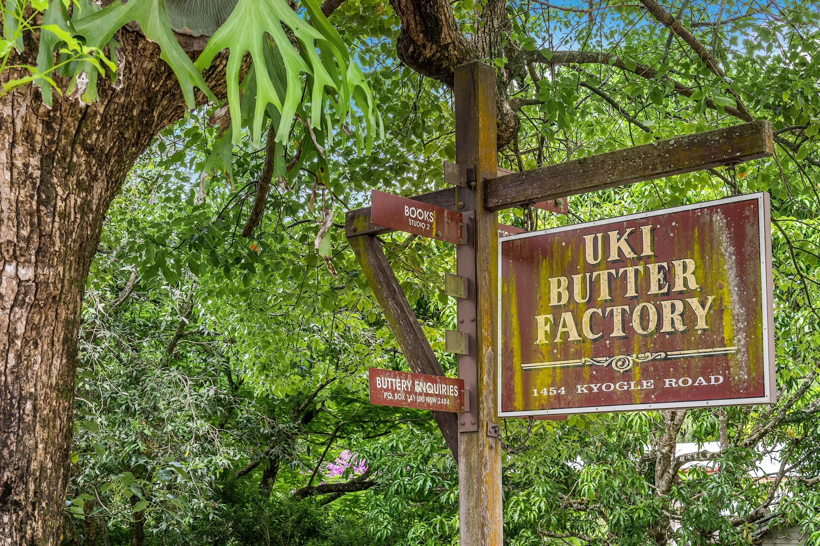 Additional image 17 of 1 Rowlands Creek Road, Uki NSW 2484