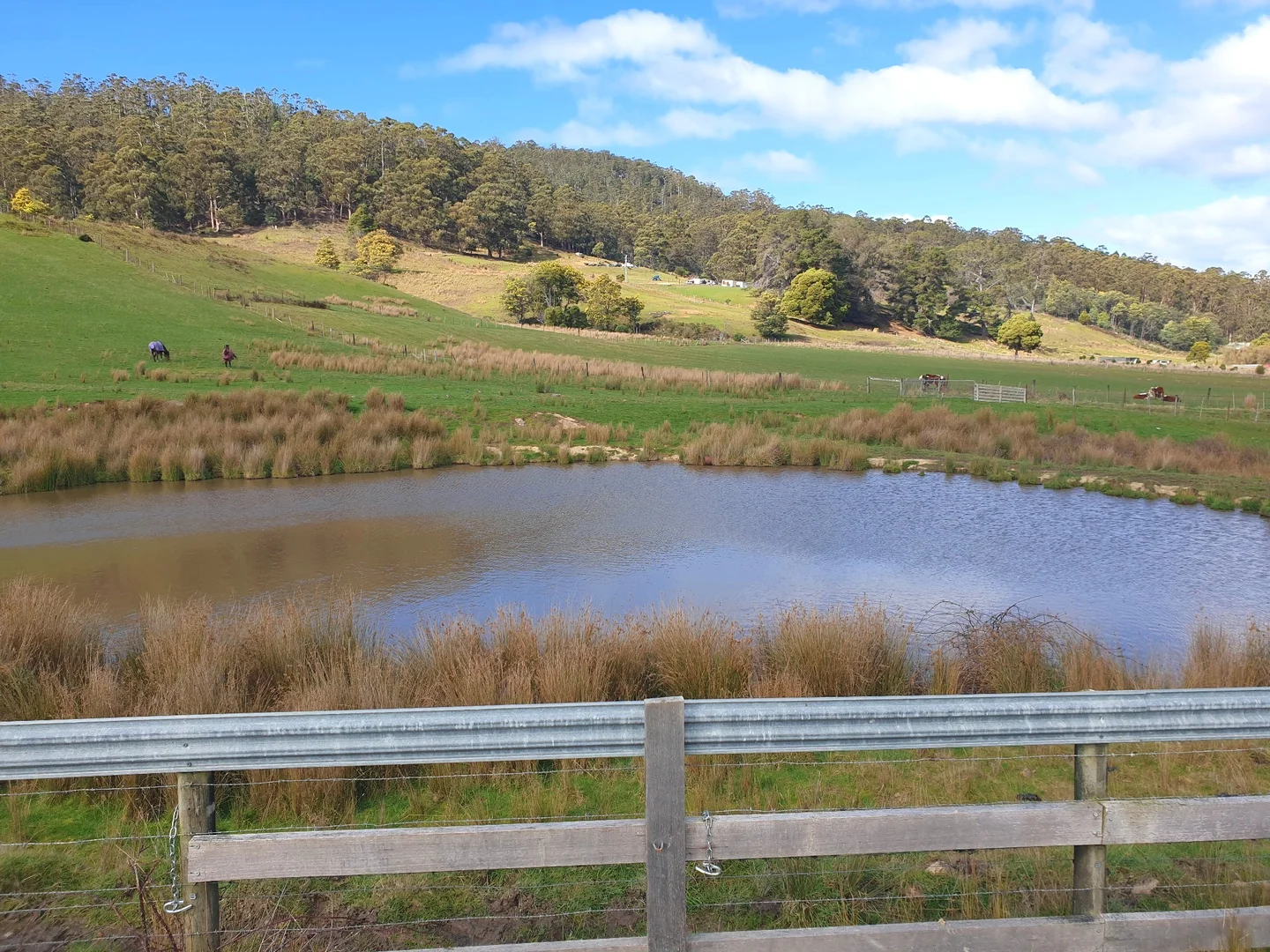 Additional image 8 of Lot 2 Huon Highway, Dover TAS 7117