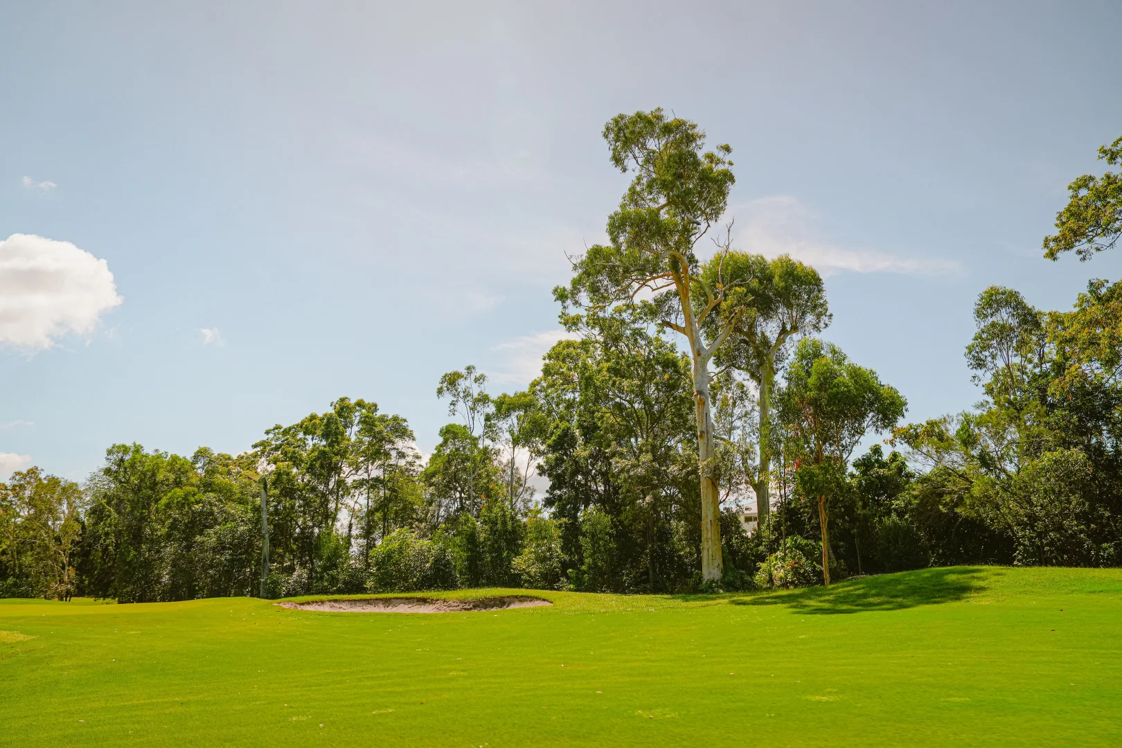 Additional image 17 of 1 Lacewood Place, Peregian Springs QLD 4573