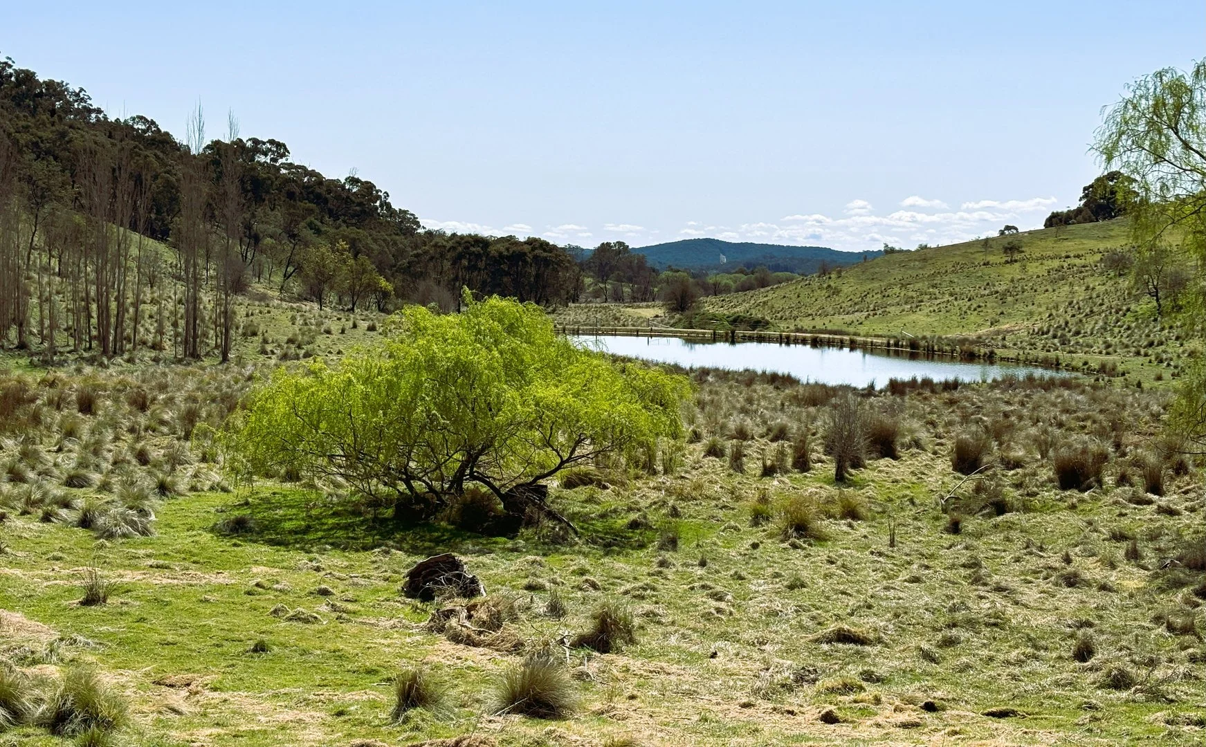 Additional image 3 of 25 Top Flat Lane, Wamboin NSW 2620