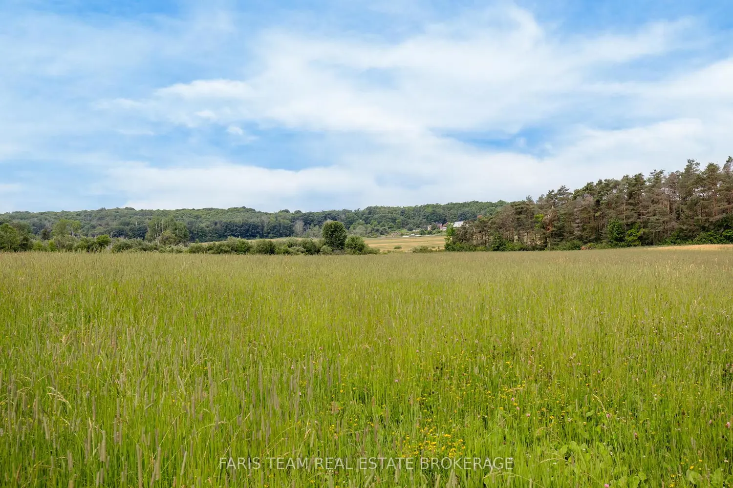 Additional image 9 of 570 Curry Road