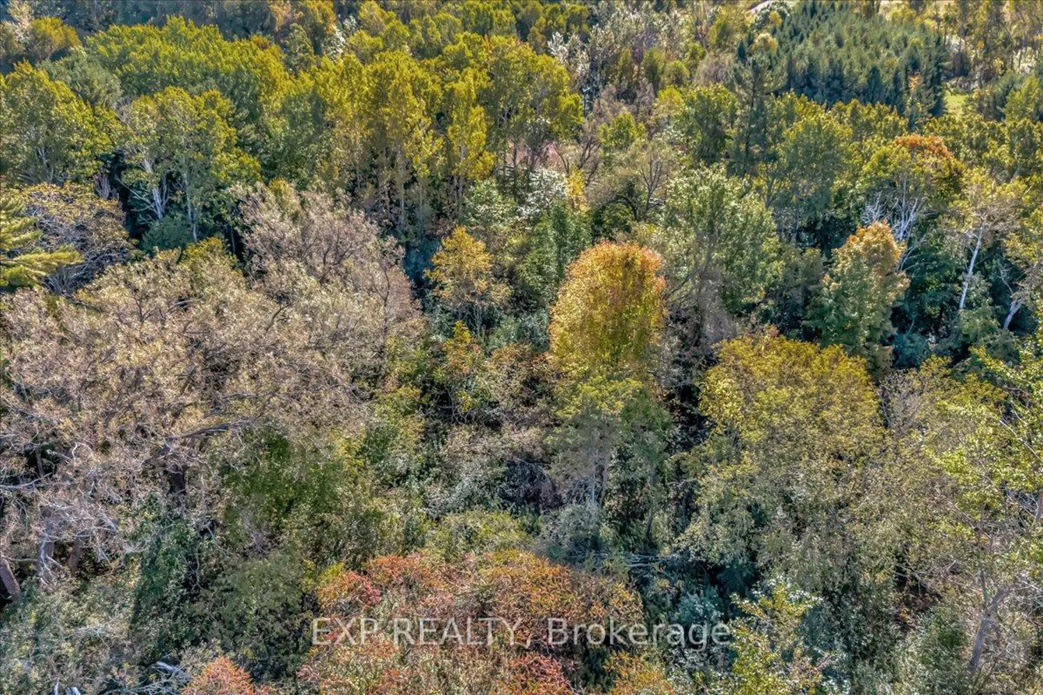 Additional image 9 of 0 County Road 2 Road