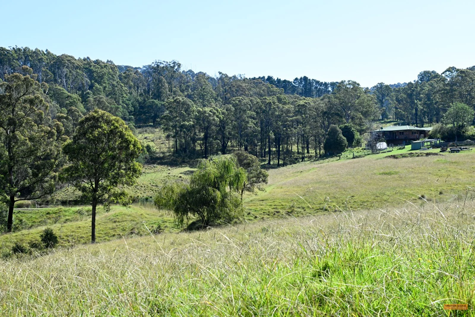 Additional image 18 of 281 Myrtle Mountain Road, Wyndham NSW 2550