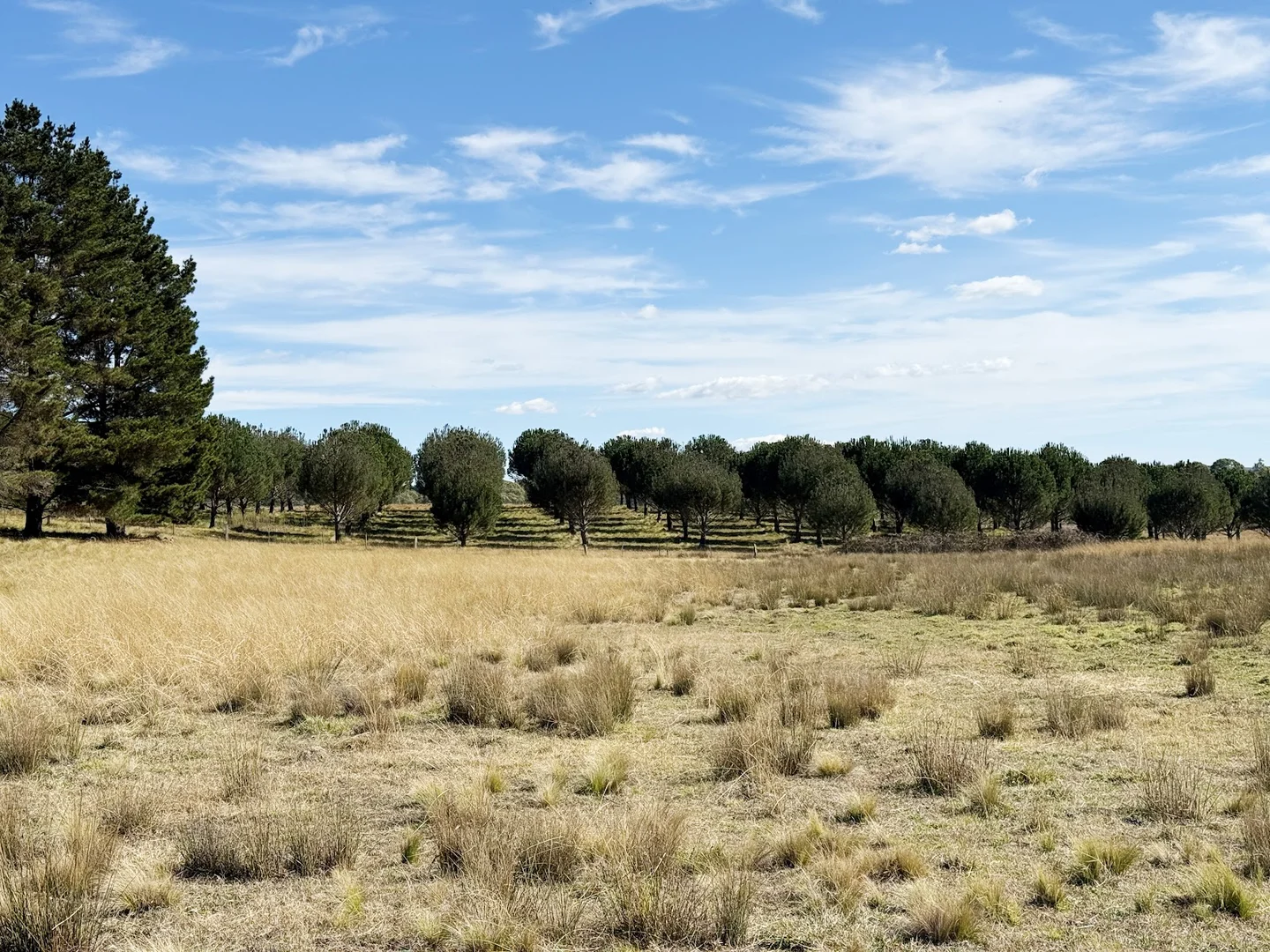 Additional image 3 of 609 Jacqua Road, Windellama NSW 2580