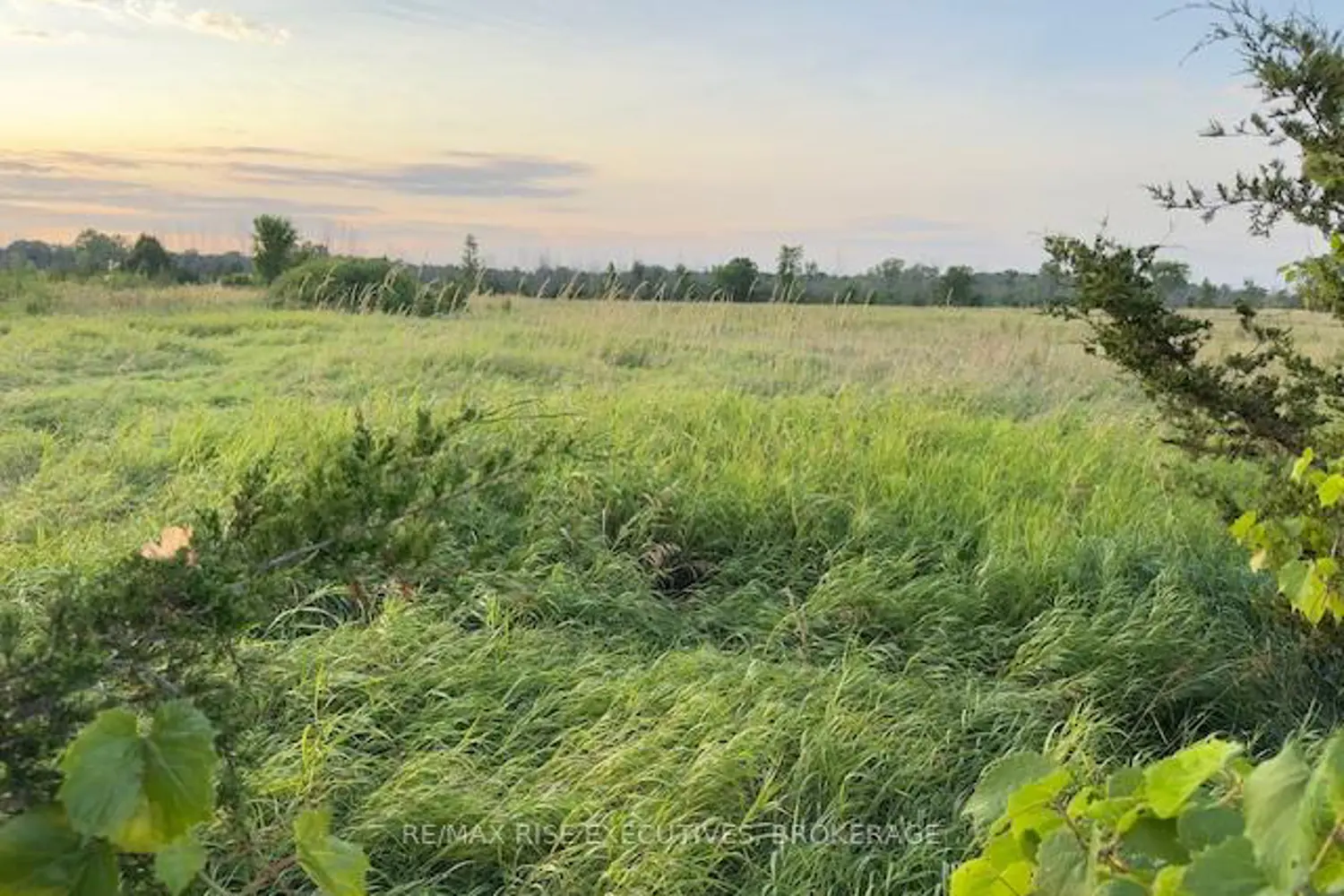 Additional image 5 of 3878 County Rd 8