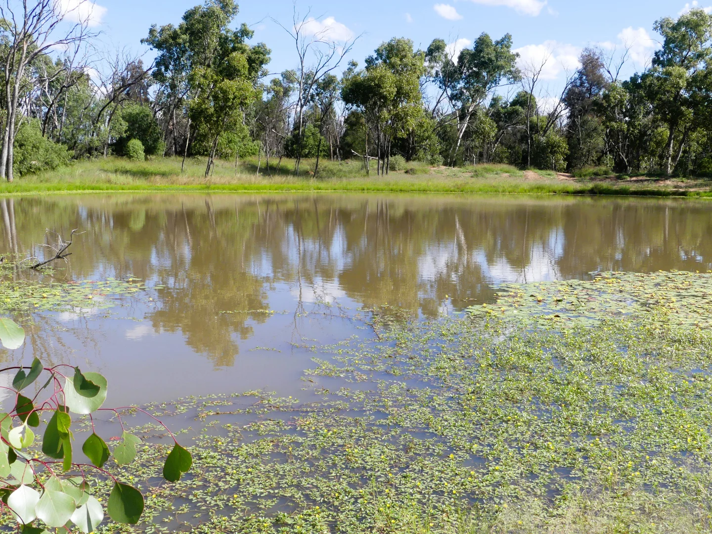 Additional image 14 of 'Ula Ula' 210 Ula Ula Road, St George QLD 4487