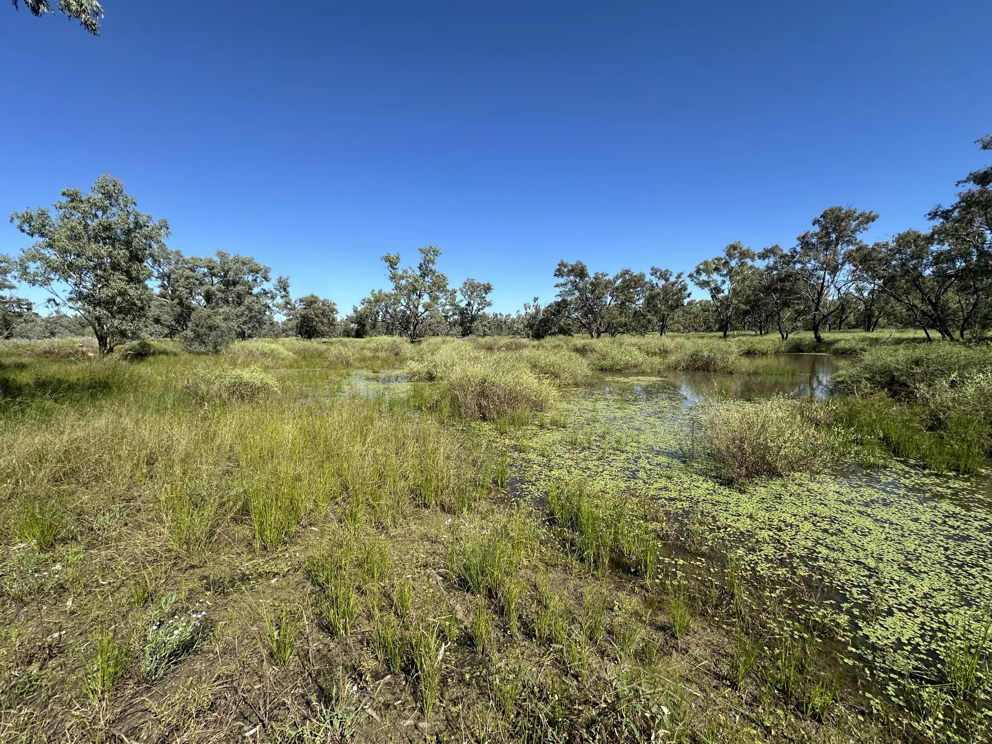 Additional image 26 of 0 Old Cunnamulla Road, Charleville QLD 4470