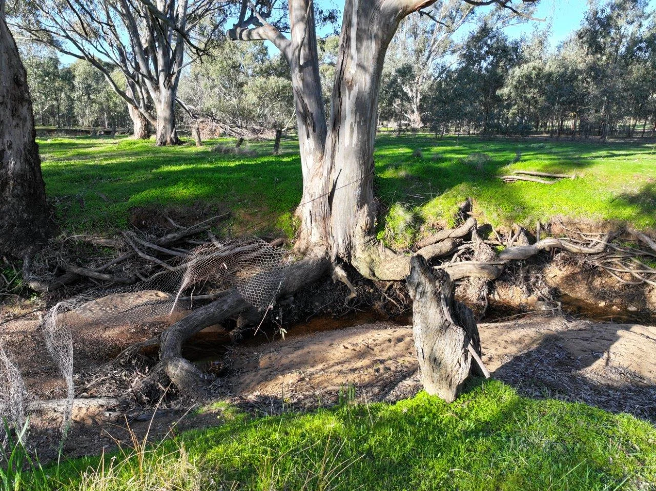 Additional image 16 of Langley Lane, McIntyre VIC 3472