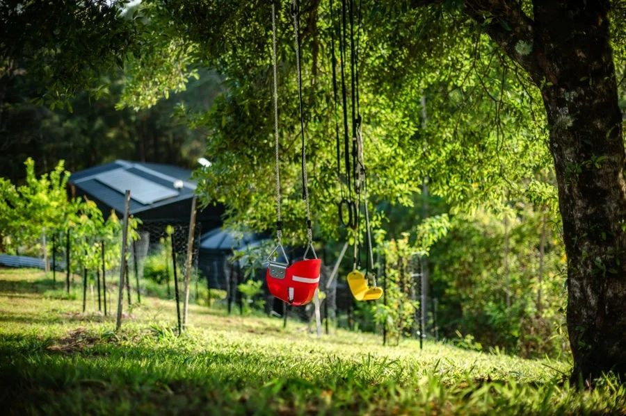 Additional image 12 of 219 Bowraville Road, Bellingen NSW 2454